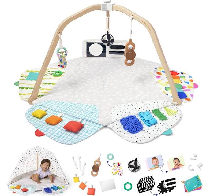 Lovevery Play Gym