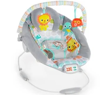 Bright Starts Whimsical Wild Bouncer