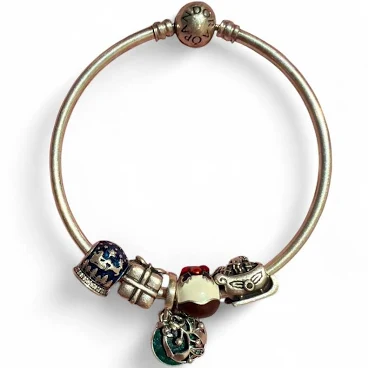 Pandora Charm Bracelet (with starter charms)